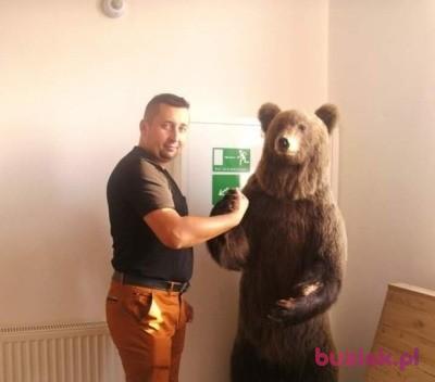 Pawel, Mężczyzna, 39, Płock, Polska, Zdjęcie: 2