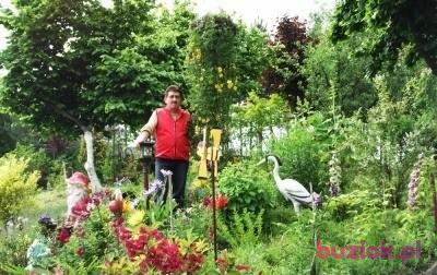 Ryszard, Mężczyzna, 64, Głubczyce, Polska, Zdjęcie: 2