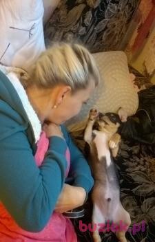aneta, Kobieta, 49, Warszawa, Polska, Zdjęcie: 3