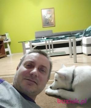 Darek, Mężczyzna, 50, Ostrołęka, Polska, Zdjęcie: 2