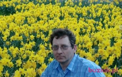 SAM600, Male, 66, Wielka Brytania, Photo: 10