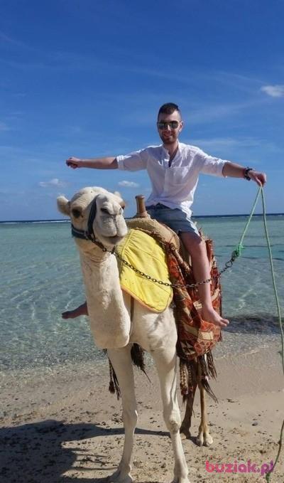 Przemysław, Male, 33, Grodków, Polska, Photo: 7