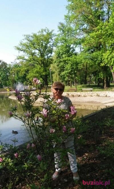 Lucyna, Kobieta, 74, Grudziądz, Polska, Zdjęcie: 2