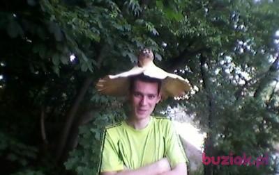 Grzegorz, Mężczyzna, 38, Elbląg, Polska, Zdjęcie: 5