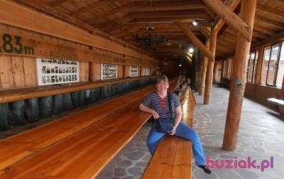 Klaudia, Kobieta, 47, Warszawa, Polska, Zdjęcie: 5