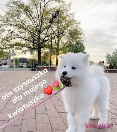 weronika, Kobieta, 26, Olsztynek, Polska, Zdjęcie: 2