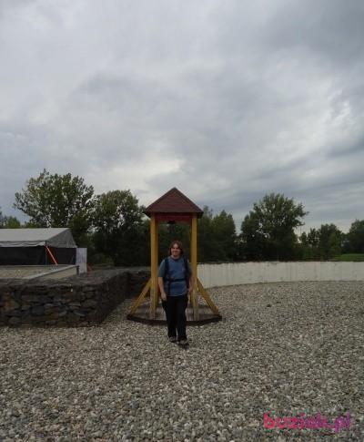 Tomasz, Mężczyzna, 36, Gliwice, Polska, Zdjęcie: 2