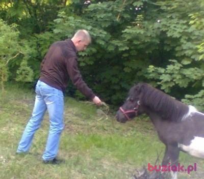 damian, Mężczyzna, 38, Dąbrowa Górnicza, Polska, Zdjęcie: 4