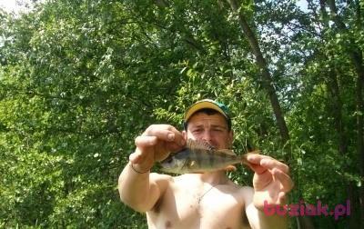Maks, Mężczyzna, 39, Kłodzko, Polska, Zdjęcie: 2