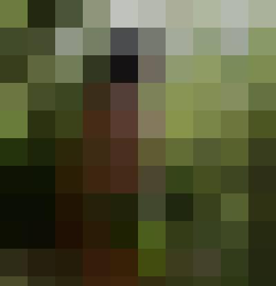 Eloquenteaseart, Mężczyzna, 48, Warszawa, Polska, Zdjęcie: 9