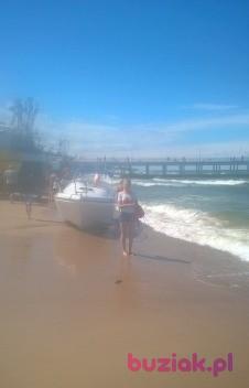 Ola, Kobieta, 35, Lublin, Polska, Zdjęcie: 1