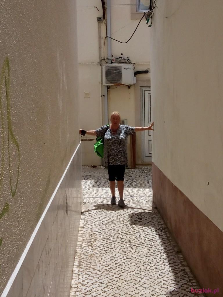 Ewa, Female, 63, Groningen, Holandia, Photo: 2