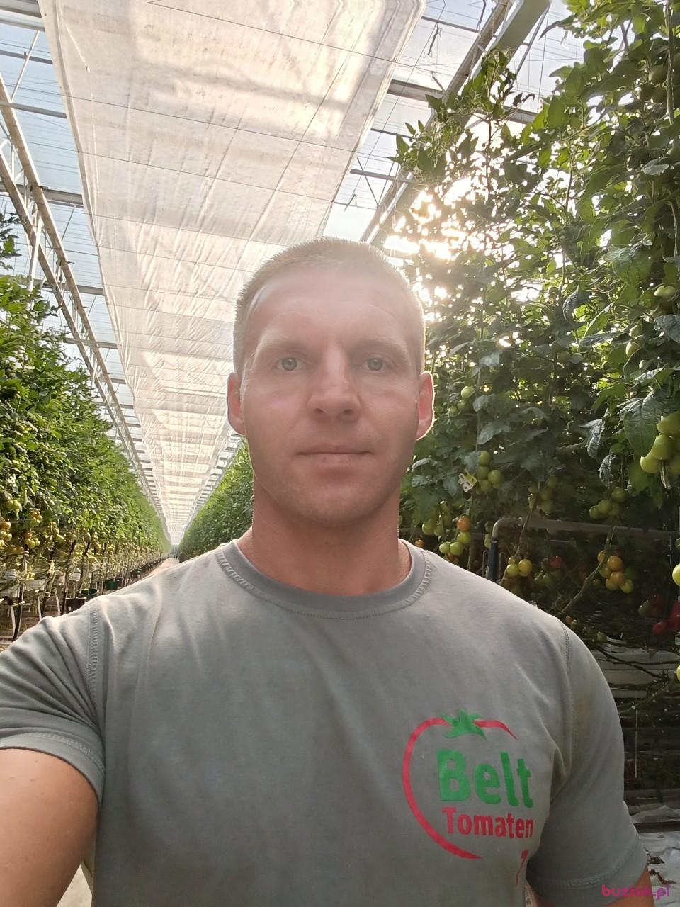 marcin, Male, 38, Zwolle, Holandia, Photo: 3
