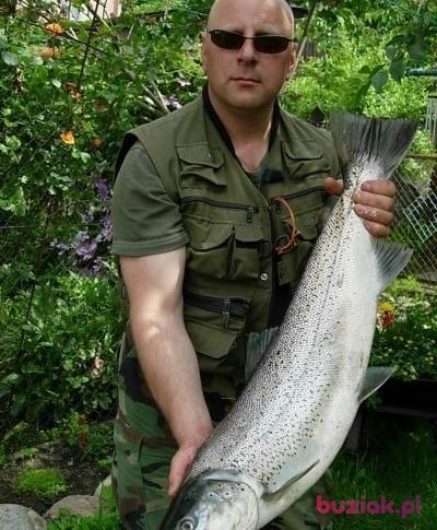 Miłosław,, Mężczyzna, 64, Białogard, Polska, Zdjęcie: 2