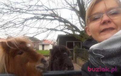 Justyna, Kobieta, 51, Brodnica, Polska, Zdjęcie: 2
