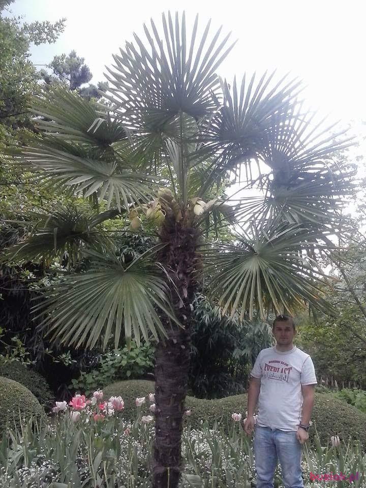 Kamil, Mężczyzna, 32, Białystok, Polska, Zdjęcie: 5