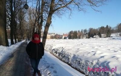 Teresa , Kobieta, 69, Irlandia, Zdjęcie: 5