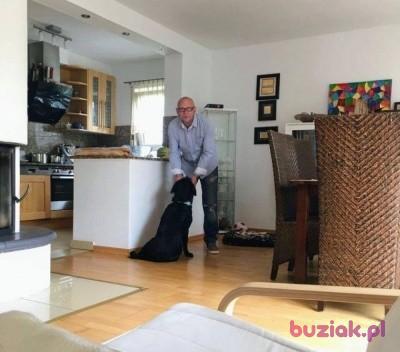 Peter, Mężczyzna, 52, Cologne, Niemcy, Zdjęcie: 1