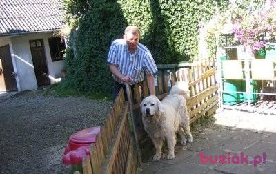 Adam, Mężczyzna, 69, Warszawa, Polska, Zdjęcie: 3