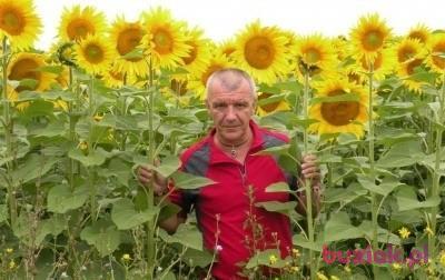 Dariusz , Mężczyzna, 66, Jasło, Polska, Zdjęcie: 2