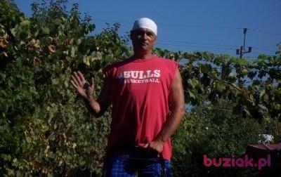 Robert, Mężczyzna, 54, Włocławek, Polska, Zdjęcie: 2