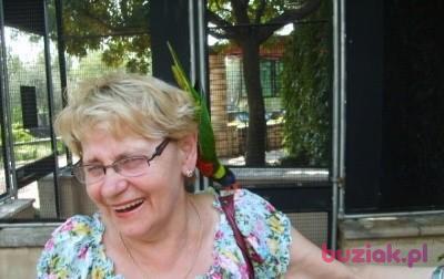Czesia, Female, 82, Westminster, Wielka Brytania, Photo: 2