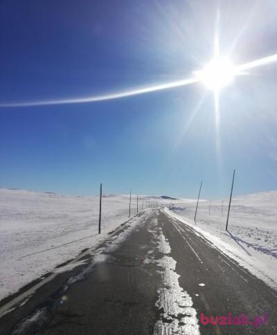 Marcin, Mężczyzna, 52, Oslo, Norwegia, Zdjęcie: 4