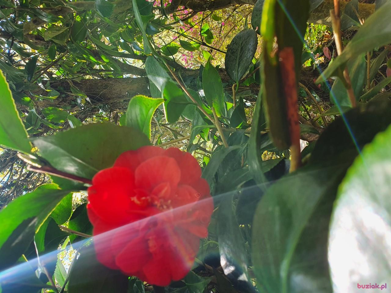 Olka, Female, 59, Westminster, Wielka Brytania, Photo: 5