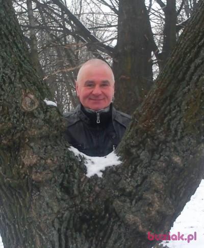 andrzej, Mężczyzna, 70, Świętochłowice, Polska, Zdjęcie: 5