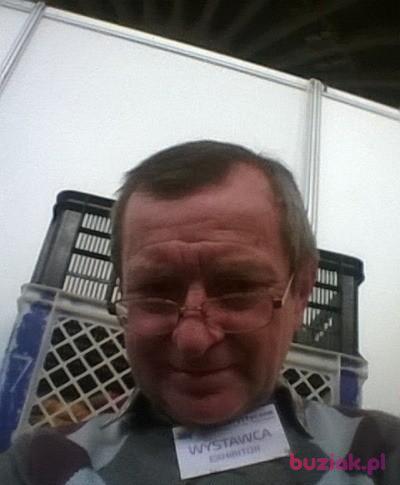 Henryk, Mężczyzna, 70, Legnica, Polska, Zdjęcie: 2