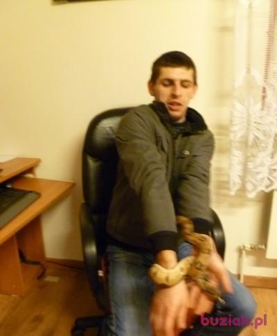 radarek28, Mężczyzna, 39, Polska, Zdjęcie: 2