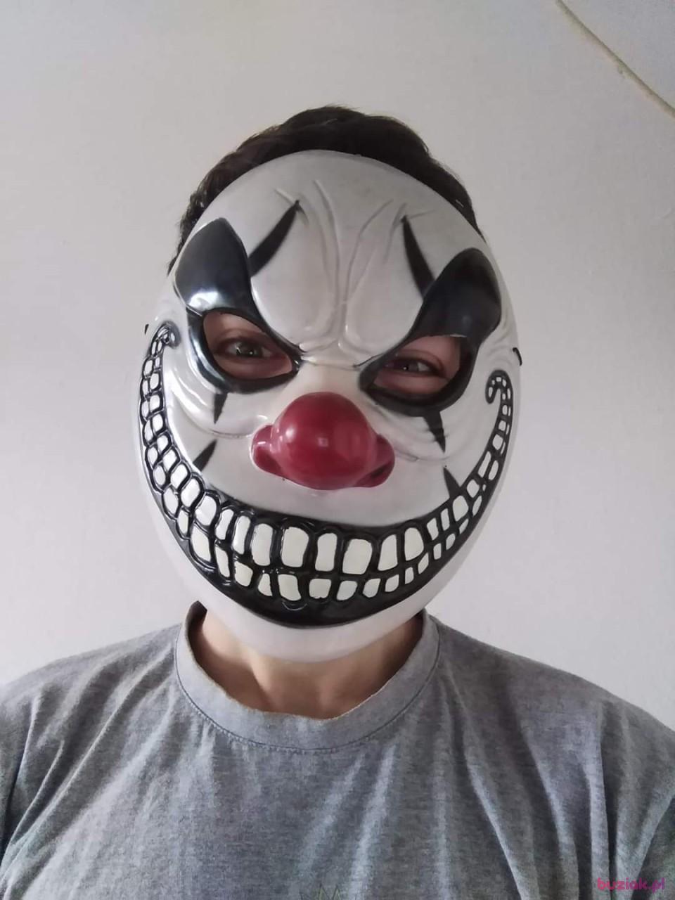 Rafał, Mężczyzna, 27, Tilburg, Holandia, Zdjęcie: 2
