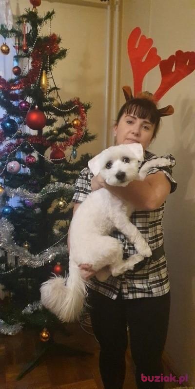 marzena, Female, 47, Bielawa, Polska, Photo: 5