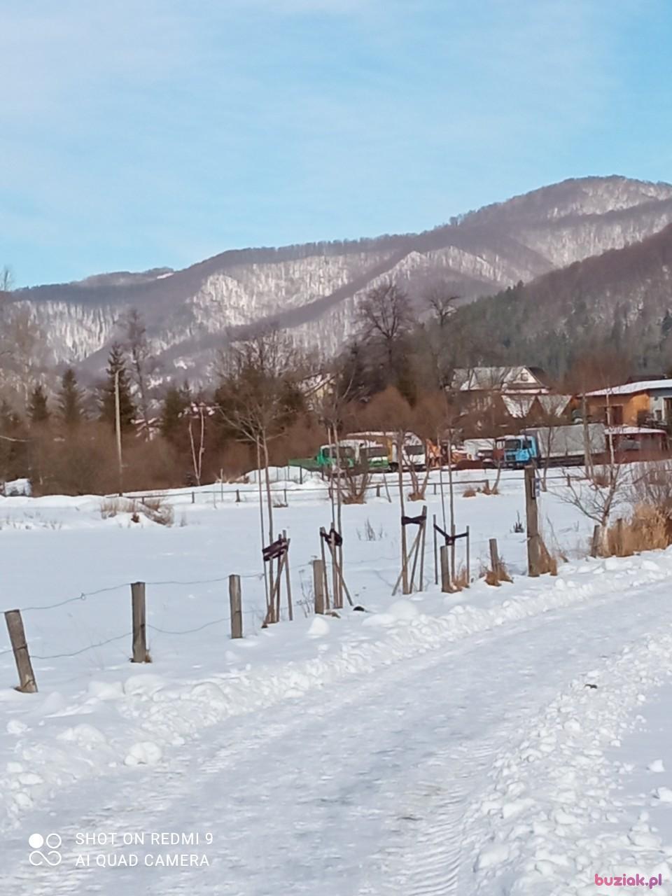 Adam, Mężczyzna, 67, Szczawnica, Polska, Zdjęcie: 4