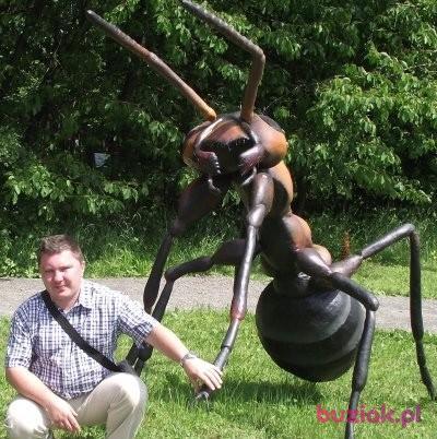 Aleksander, Mężczyzna, 46, Zabrze, Polska, Zdjęcie: 3