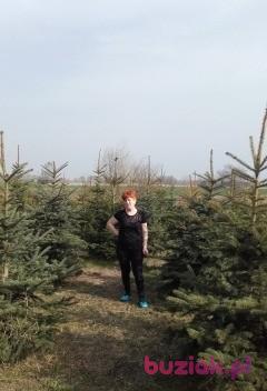 Wanda, Kobieta, 67, Konin, Polska, Zdjęcie: 4