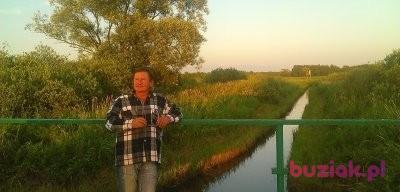 Skory, Male, 73, Łabiszyn, Polska, Photo: 5