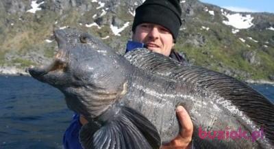 Fabian, Mężczyzna, 59, Gorzów Wielkopolski, Polska, Zdjęcie: 2