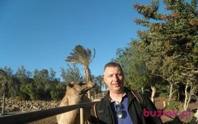 Krzysztof, Mężczyzna, 54, Frederiksberg, Dania, Zdjęcie: 2