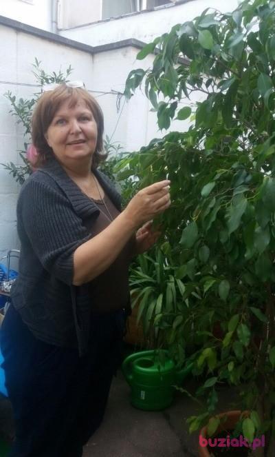 Aga, Kobieta, 70, Cologne, Niemcy, Zdjęcie: 3
