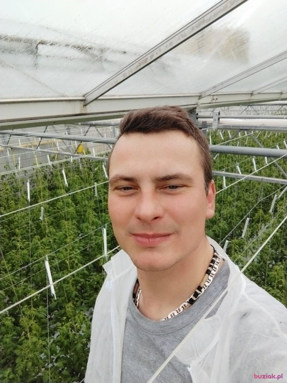 Mar, Mężczyzna, 35, Haga, Holandia, Zdjęcie: 2