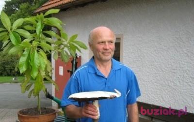 Czeslaw, Mężczyzna, 72, Nürnberg, Niemcy, Zdjęcie: 2