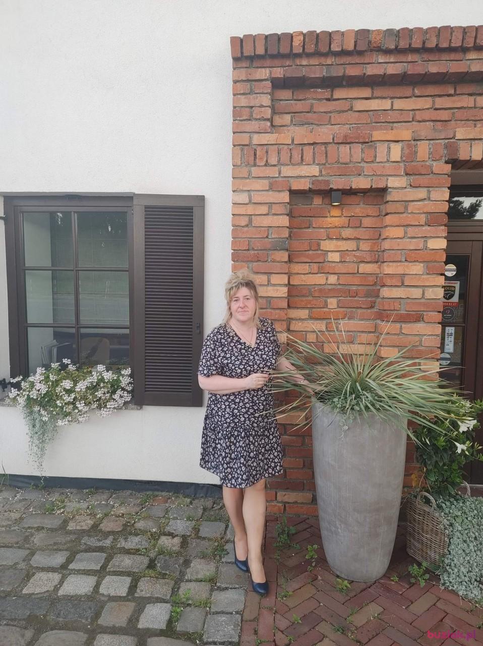 Iwona, Kobieta, 55, Zabrze, Polska, Zdjęcie: 3