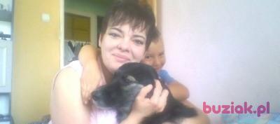 Bożena, Kobieta, 50, Czechowice-Dziedzice, Polska, Zdjęcie: 9