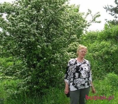 Jagoda, Kobieta, 80, Tarnów, Polska, Zdjęcie: 1