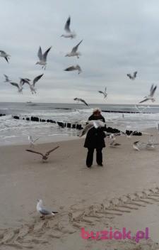Aneri51, Kobieta, 75, Ostrów Wielkopolski, Polska, Zdjęcie: 3