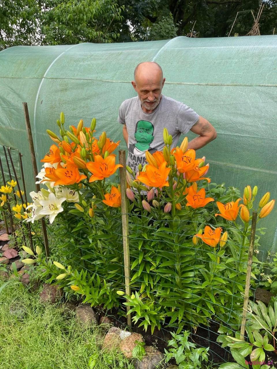 Janek, Male, 63, Głogów, Polska, Photo: 10