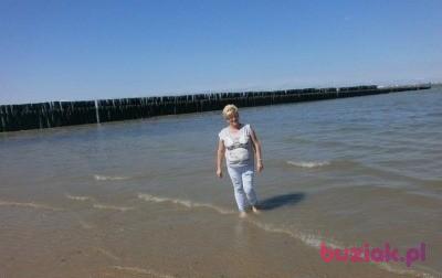 Elżbieta, Kobieta, 61, Włocławek, Polska, Zdjęcie: 7