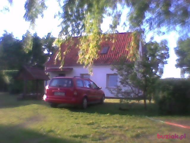 Jan, Mężczyzna, 76, Korsze, Polska, Zdjęcie: 5
