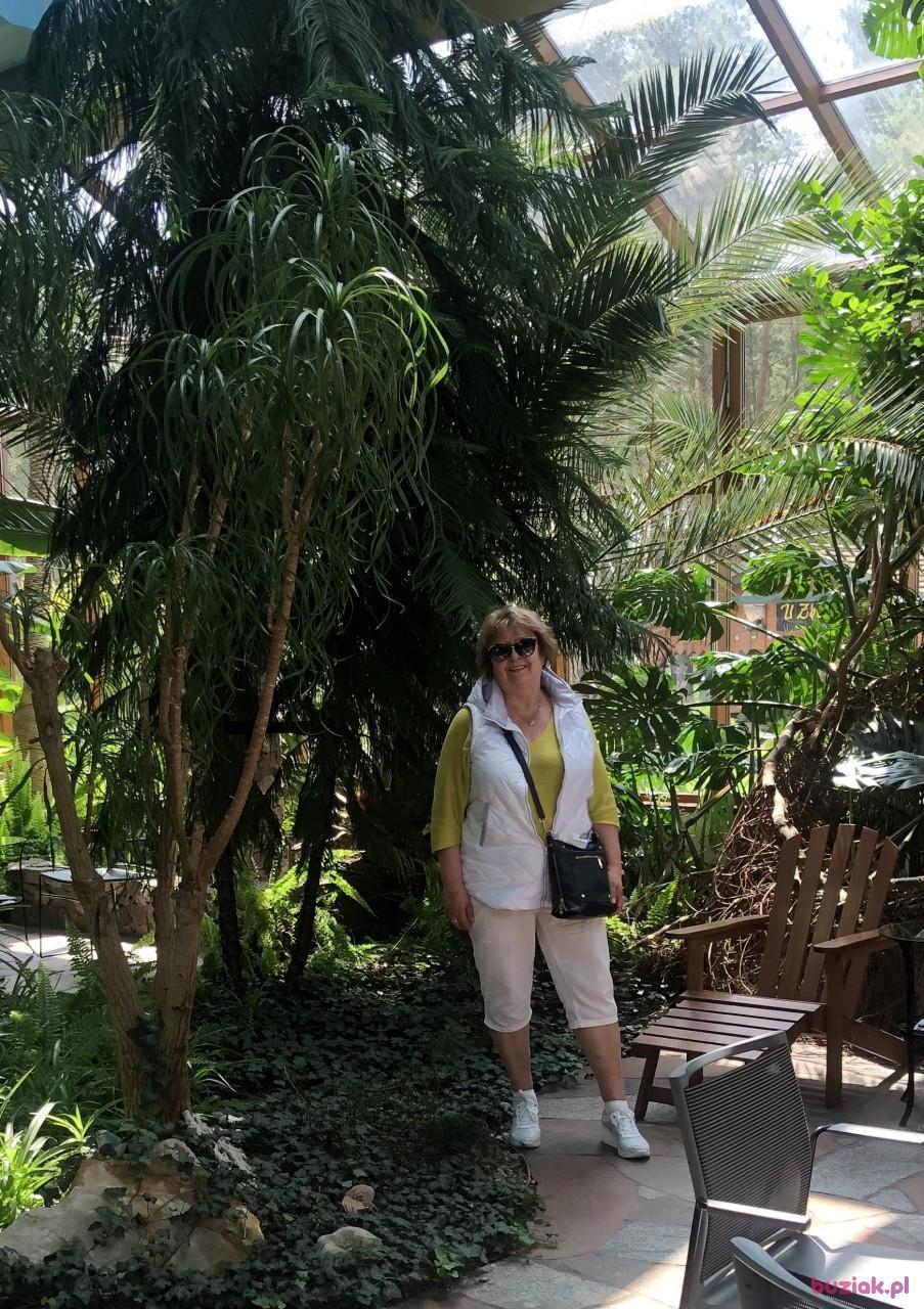 Teresa, Female, 71, Westminster, Wielka Brytania, Photo: 6